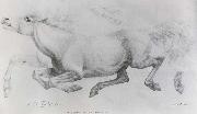 William Strutt Lady Blunt-s Arab mare,Sherifa oil on canvas